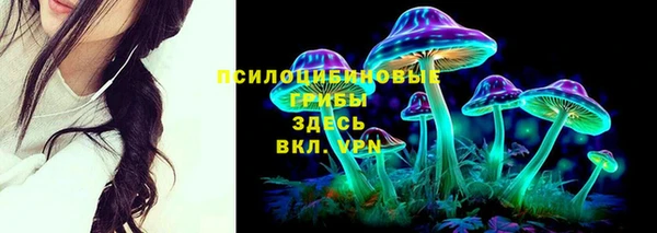 меф Богородск